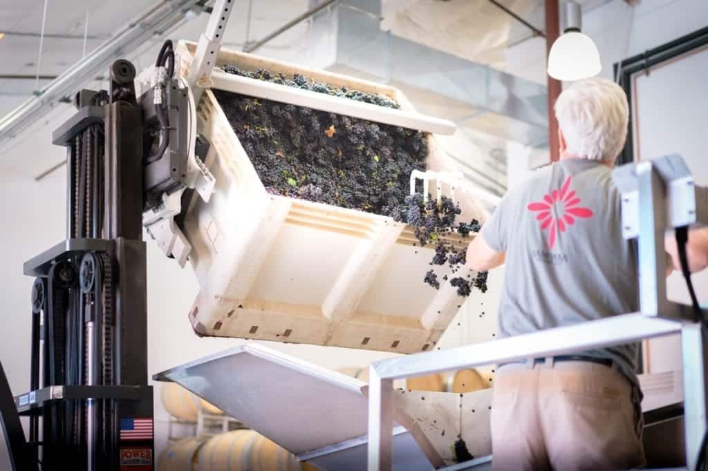 Custom crush facility in Santa Barbara - SAMsARA Wine