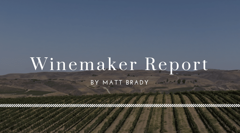 winemaker report May 2019 - SAMsARA Wine Co.