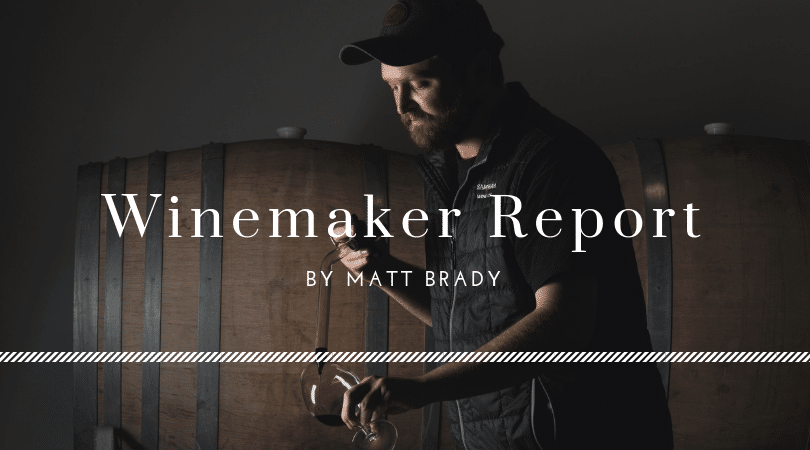 SAMsARA winemaker report Matt Brady SAMsARA Wine Co.