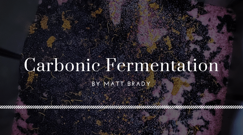 Carbonic fermentation by Matt Brady