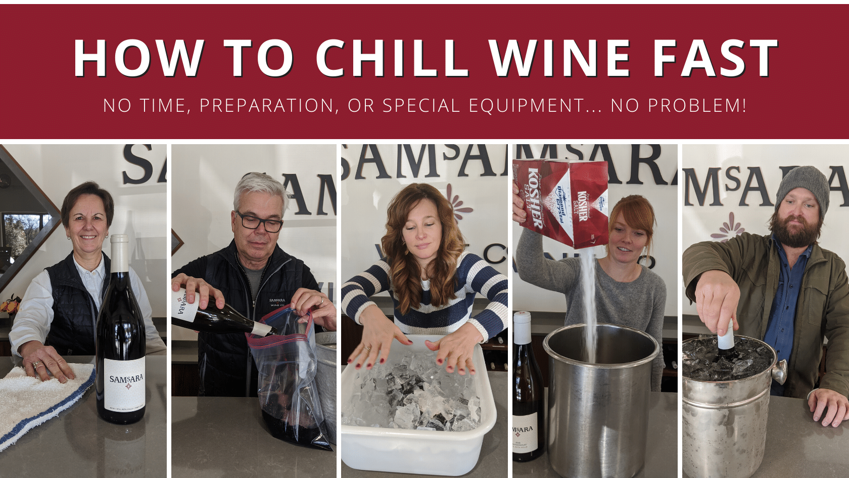 Chill n go wine bag online