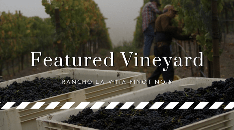Rancho La Viña Vineyard Pinot Noir Spotlight