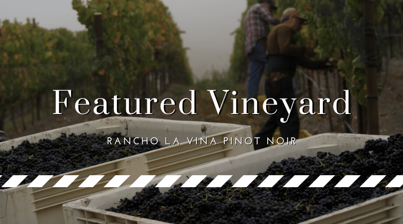 Spotlight on Pinot Noir from Rancho La Viña Vineyard 1 Rancho La Viña Vineyard Pinot Noir Spotlight