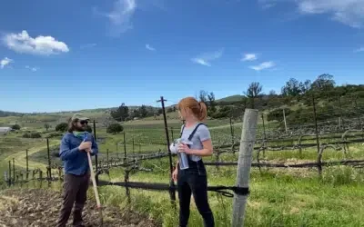 Radian Vineyard in Sta. Rita Hills 400x250.png