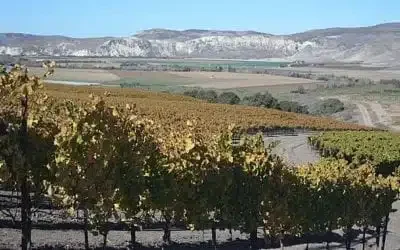 Rancho la Vina Vineyard Sta. Rita Hills 400x250.jpg