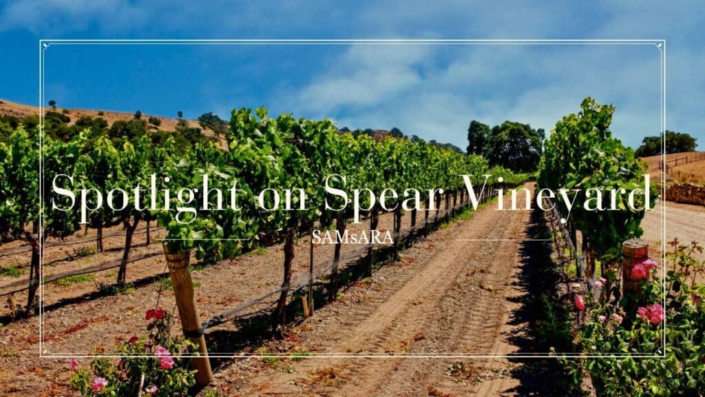 Spotlight on Spear Vineyard