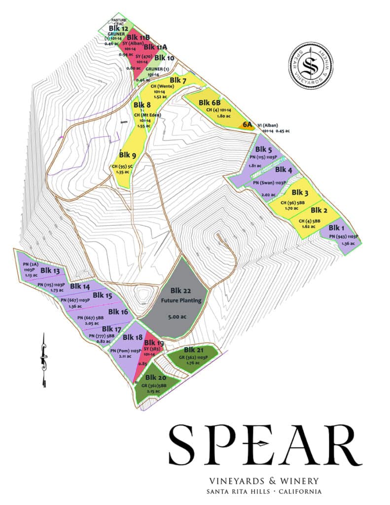 spear vineyard by block
